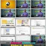 Bing Ads 必应广告平台（必应推广）基础培训视频教程