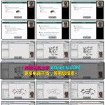 SNS社交网络营销推广数据统计以及分析视频教程