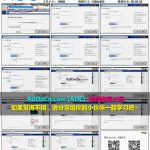 入门到精通玩转Facebook教程 17 Facebook添加好友小工具