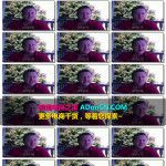 Google SEO 谷歌搜索引擎优化教程 – 48小时快速排名立马见效秘籍