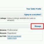 跨境电商平台海外亚马逊卖家账号类型和对比分析