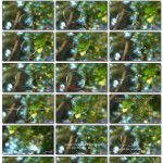 老外的跨境电商（从中国进货）- 老外教老外如何从中国进口商品的基础培训视频指南