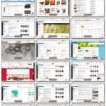 全球速卖通宝典（AliExpress如何开店） – 速卖通运营思维案例：巴西红木