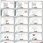 全球速卖通宝典（AliExpress如何开店） – 速卖通培训教程之海关春节放假和巴西市场浅析