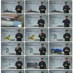 打造团队的凝聚力和战斗力 第二集 领导者在团队中的地位与作用