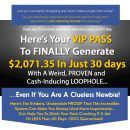 一步一步的策略，赚你的第一笔靠网络赚钱之$1000美元。（Ten Dollar Time Bombs）