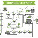 Make More Sales & Profit From Your Ecommerce Store – 电商运营大师（eCommerce Marketing Mastery）