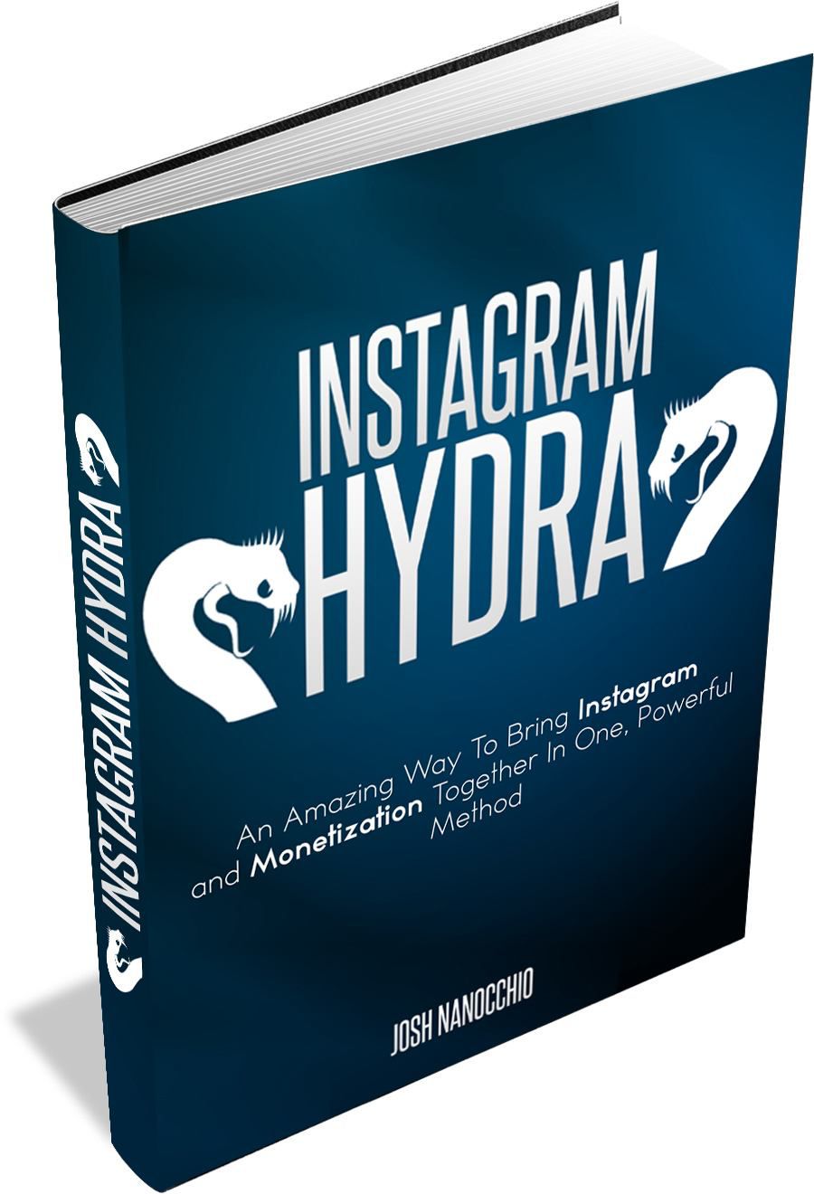 100%免费高质量的社交媒体流量(Instagram Hydra) 100%免费高质量的社交媒体流量(Instagram Hydra)