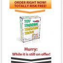 亚马逊玩具大卖家 – 亚马逊卖家成长指南（Toy TRENDING Treasure Trove）