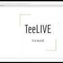 T恤销售中每个阶段最重要的成功秘诀（TeeLIVE）