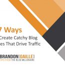 从0到200万的每月访问量的博客大师学习如何构建成功的博客（The Blog Millionaire）