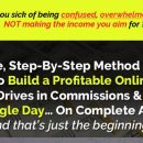 逐步进行的视频培训您将亲手掌握设置您的在线盈利业务（Stunning Simple Profits）