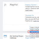 Shopify开店建站营销推广卖家平台后台中文指南 – Payments / Shopify的收款设置