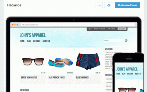 Shopify开店建站营销推广卖家平台后台中文指南 – Themes/主题