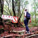 免费申请OneDrive永久1T空间