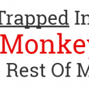 How to Market Yourself as a Software Developer – Simple Programmer