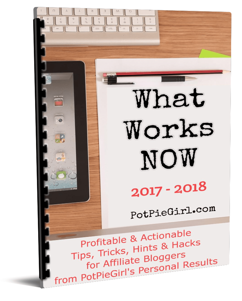 What Works NOW 2017-2018 is 60+ pages full of time-saving, actionable, and profitable tips and tricks that have helped my business in the past year.（What Works NOW 2017 - 2018）