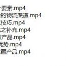 全球跨境移动电商Wish商户卖家平台 – 高级教程