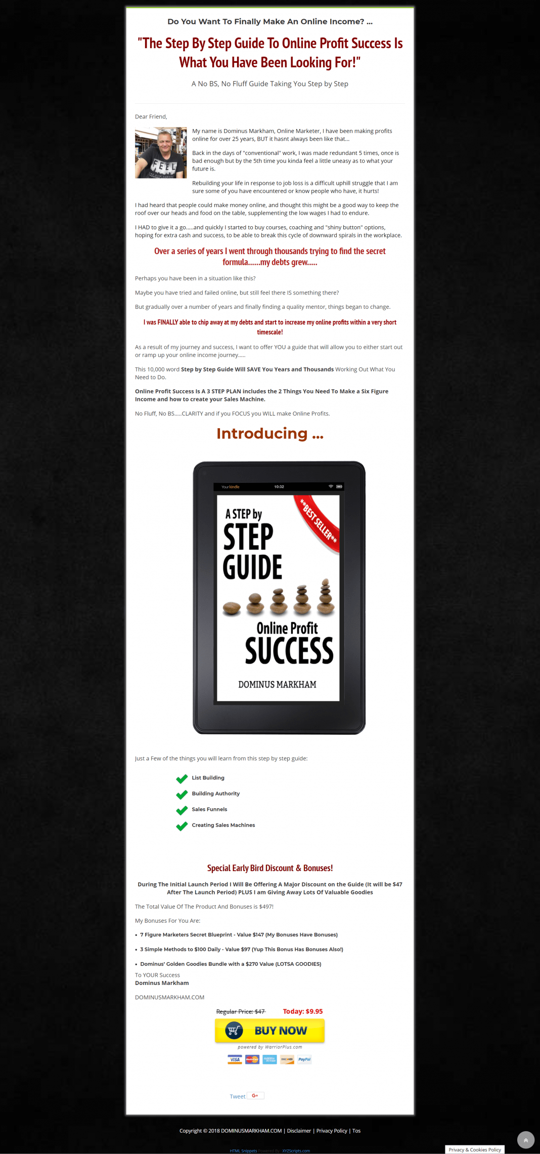 让你从零基础一开始就增加你的在线收入指南（Step By Step Guide Online Profit Success）