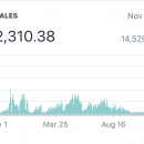 1个月内从$0到$1600/天 和 $150,000+在9个月 Dropshipping一个产品（Simplified Shopify）