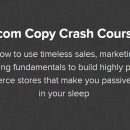 学习如何利用不受时间影响的的销售、市场营销和文案基础来建立高利润的电商网店，让你在睡梦中获得被动收入。（Ecom Copy Crash Course）