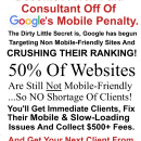 谷歌已经开始瞄准不支持移动设备的网站，并打破了它们的排名优势。（Dynamic Mobile SEO Dollars）