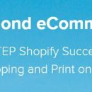 毫无保留地与大家分享我在Shopify上取得的成功的经历， 您将学习如何采用这些策略并将它们应用到您自己的Shopify商店中！（Diamond eCommerce）