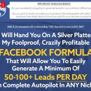 利用Facebook可以快速建立邮件列表，而不需要使用昂贵的软件，并将其转化为每天15分钟的被动收入！（FB Lead Formula）