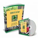 在你舒适的家中迅速开始一项6位数的绿色小生意（True Leaf – An Evergreen Market Disrupter）