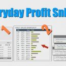 NICHE狙击手 – 我是如何每天都能赚500美元以上的（Everyday Profit Sniper）