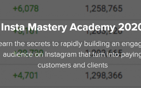 从零开始建立你的粉丝（Insta Mastery Academy 2020）