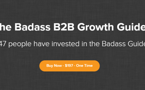 B2B增长指南（The Badass B2B Growth Guide）