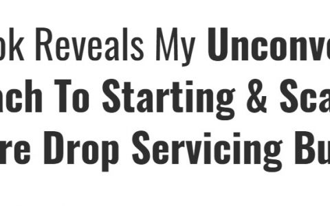 非传统方法，开始和扩大一个利润不错的Dropshipping业务！（6 Figure Drop Servicing）