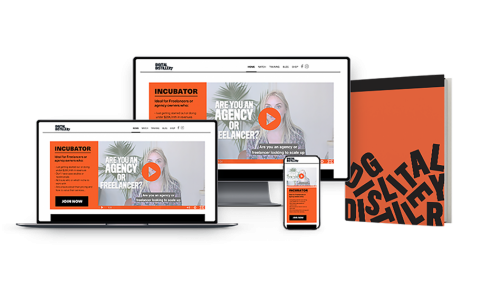 发现你的利基市场，将你的代理规模扩大到每月2万美元收益！（The Incubator 2.0）