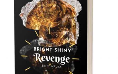 停止相信空洞的承诺和浪费你的金钱，你准备好要投资哪些产品了吗?（Bright Shiny Revenge）