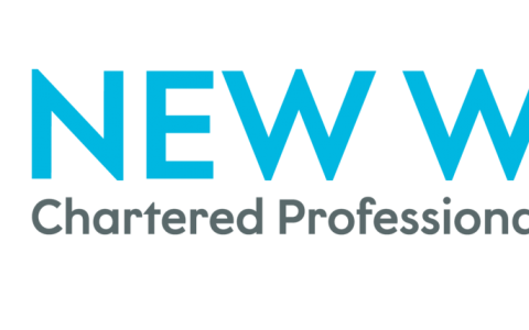 以高质量的目标流量轻松地占领任何利基市场，低至0.003美元/点击！轻松一天内赚413美元！（New Wave CPA）
